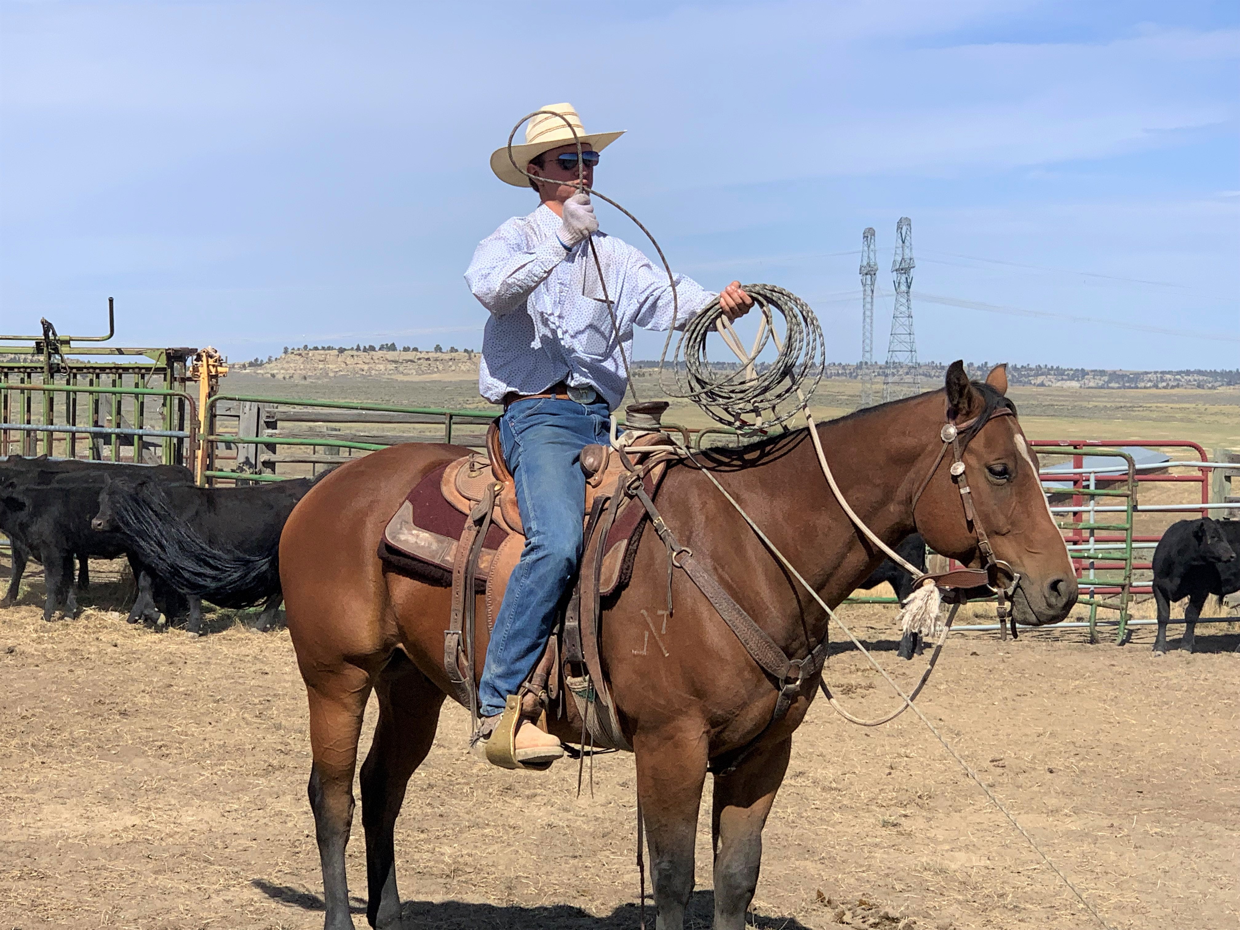 A young male cowboy with a lasso