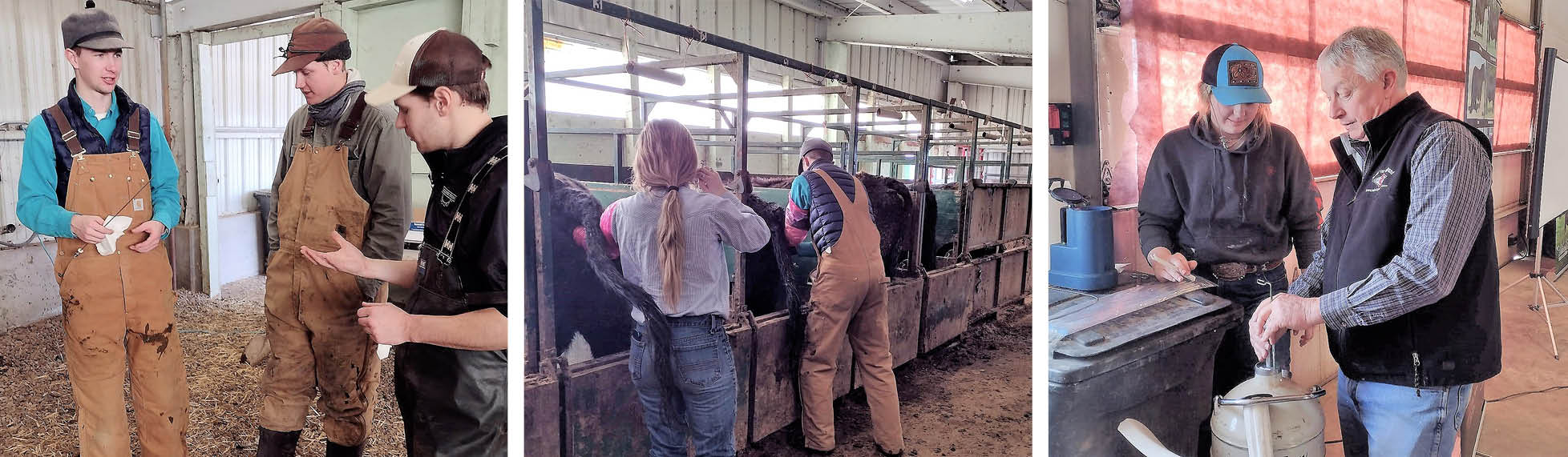 three male students talking in a barn, ai in progress, instructor talking to female student