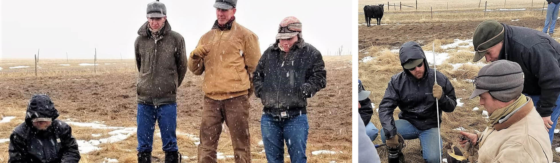 Four people in heavy jackets while it snows