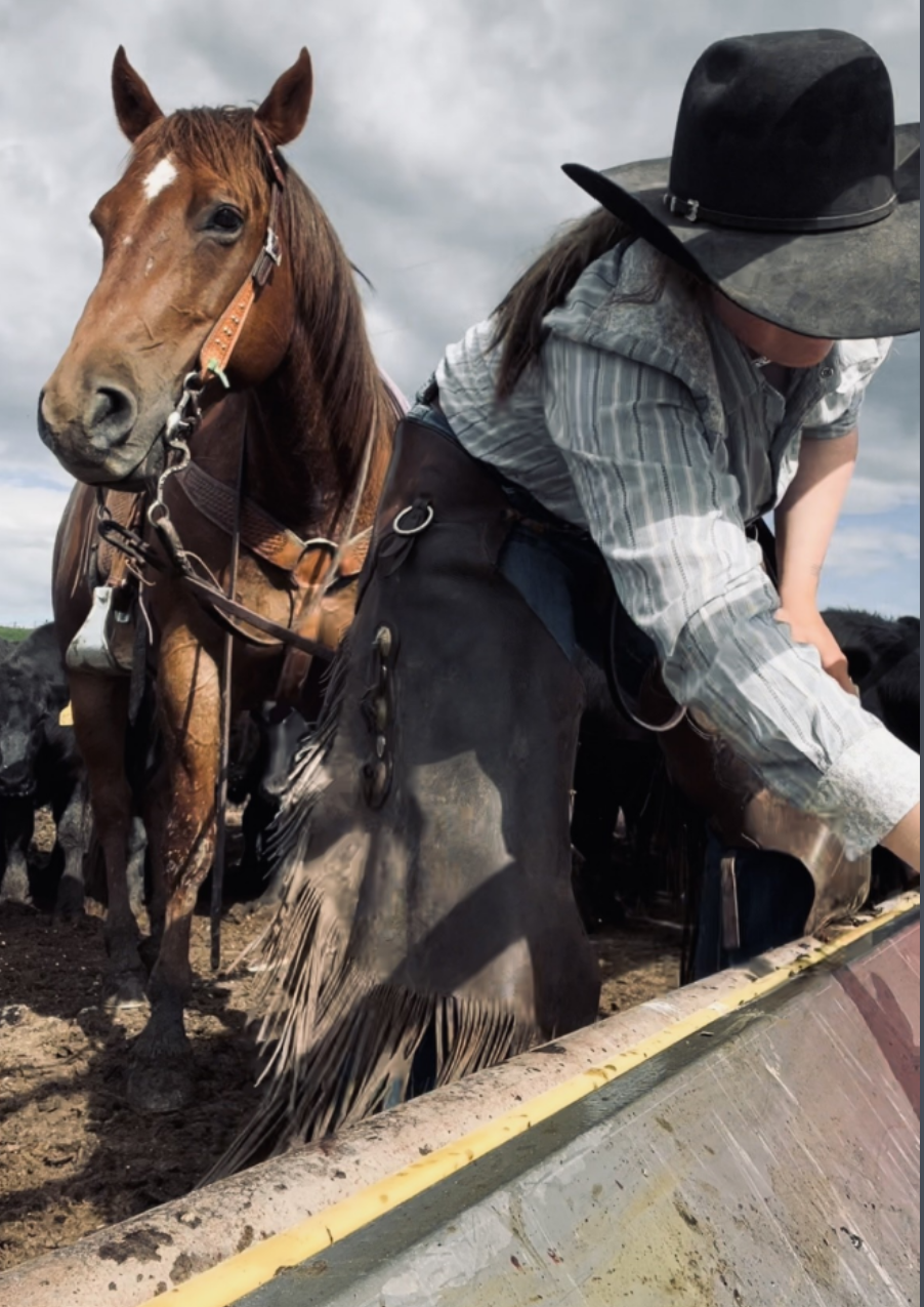 a young woman tacking a horse