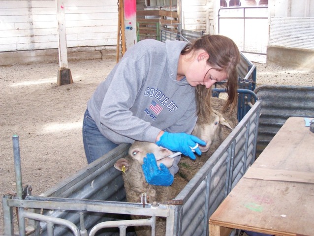 Girl with Goat
