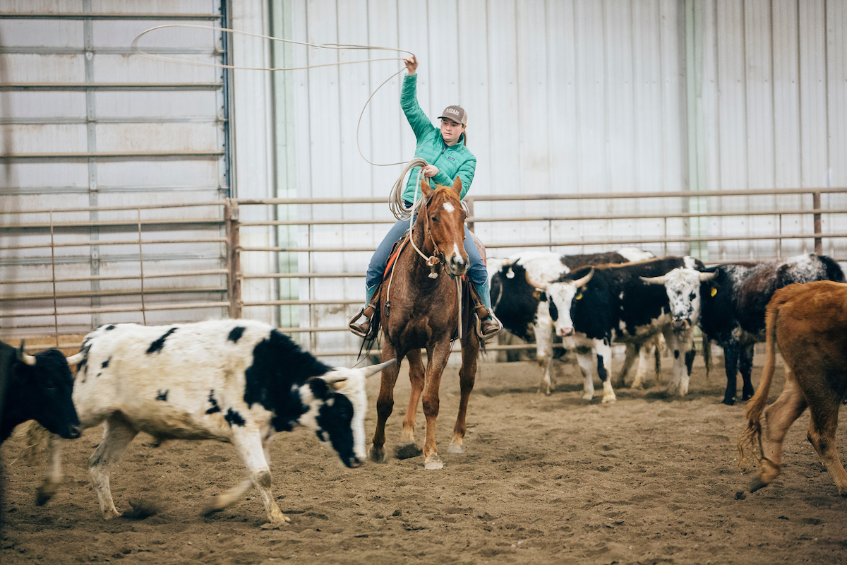 young woman on horseback with a lasso