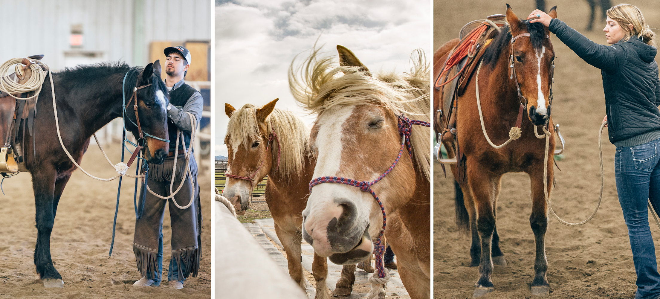 A man with a horse, two horses with their manes blowing in the wind, a woman with a horse