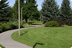 MSU Campus, 2005