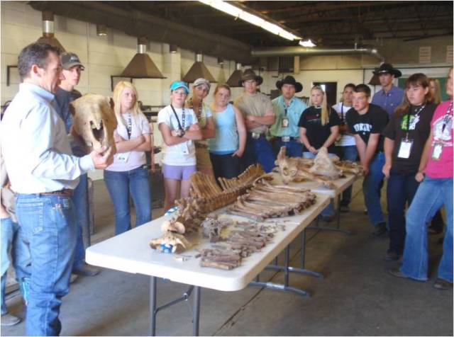Students Examining Bones