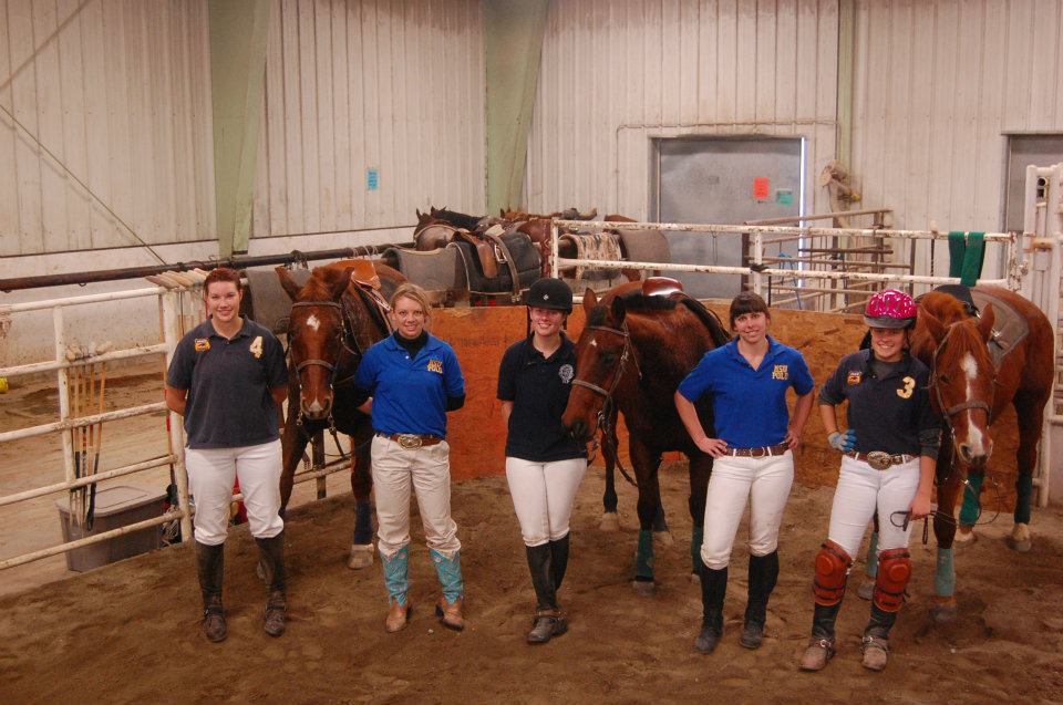 Polo Team